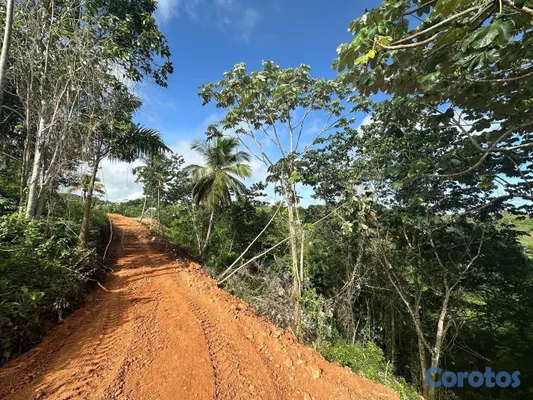 solares y terrenos - Solares con vista a la montaña en Las Terrenas – desde US$21,300 3