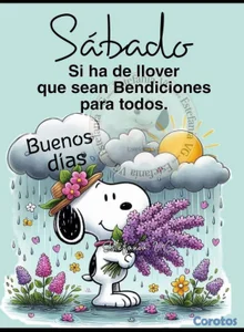 Doméstica 3 días semanal 