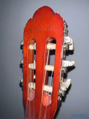 instrumentos musicales - Guitarra Clásica D. Catala 3
