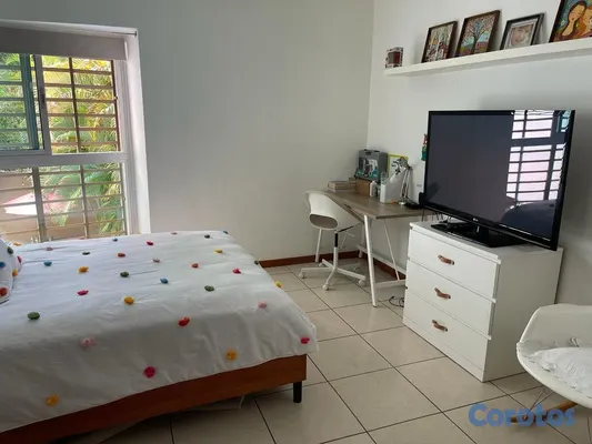 decoración y accesorios - se vende casa grande por el Jardín Botánico 440 m² 7