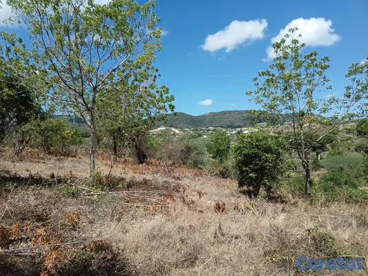 solares y terrenos - VENDO FINQUIDA DE 2.5 TAREAS, EN UNA COLINA Y BEL 4