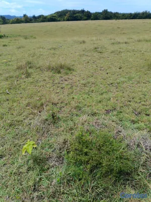 solares y terrenos - se vende terreno en punta cana bávaro ideal para Villa o 🏡 casa de campo  3