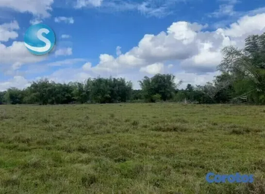 solares y terrenos - Solar en venta 3