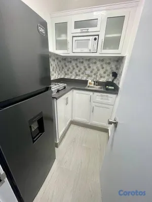 apartamentos - Apartamento (estudio) en alquiler | Zona Colonial  12