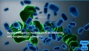 servicios profesionales - limpia toda el agua de tu casa con Twin Oxide