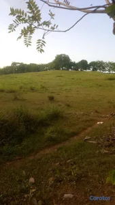 finca de 300 tareas en Monte Plata 