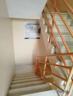 apartamentos - APTO. EN ALQUILER DE 3 HABITACIONES EN VILLA FARO  10
