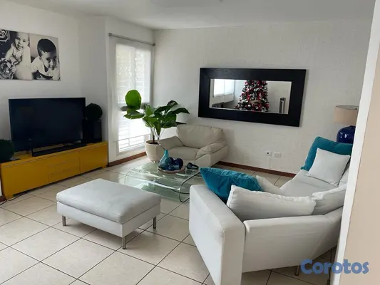 decoración y accesorios - se vende casa grande por el Jardín Botánico 440 m² 12