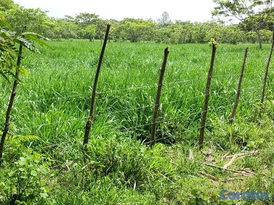 solares y terrenos - finca de 3000 tareas con vocación agrícola en Monte Plata  13
