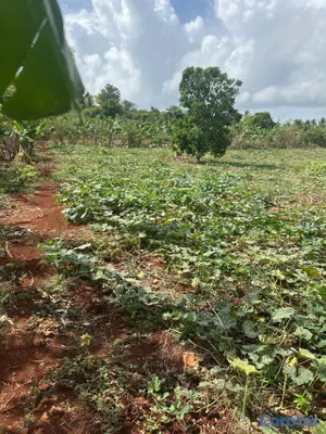 solares y terrenos - se vende en samana carretera playa ricon 9