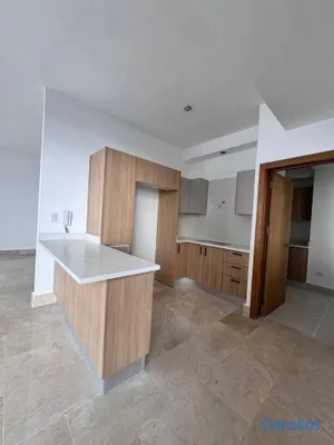 apartamentos - 2do piso con terraza en alquiler en Serralles 8