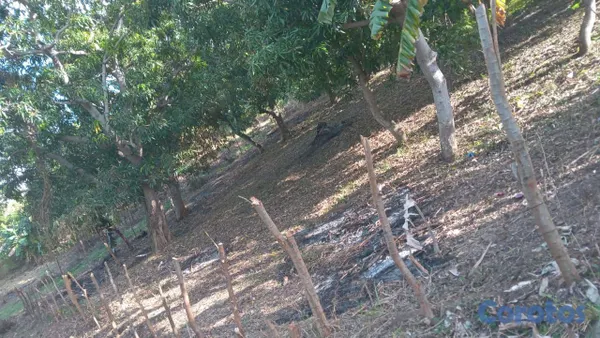 solares y terrenos - se vende terreno en San Cristóbal ideal para villa o 🏡 casa de campo  3