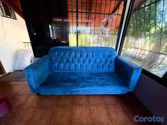 servicios profesionales - limpieza de muebles. 2
