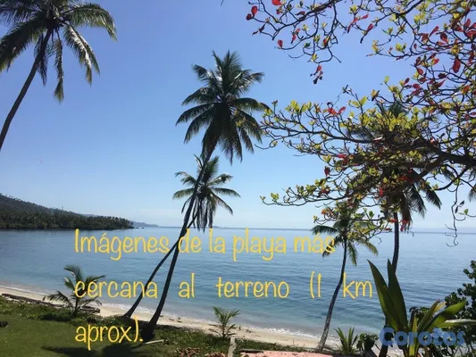 solares y terrenos - Vendo Terreno entre La Pascuala-Río los Cocos,SAMANÁ,Rep.Dominicana  13