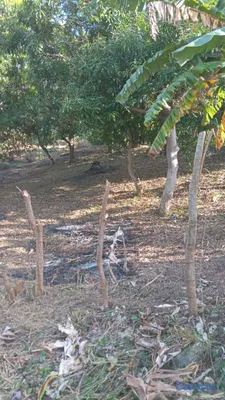 solares y terrenos - se vende terreno en San Cristóbal ideal para villa o 🏡 casa de campo  6