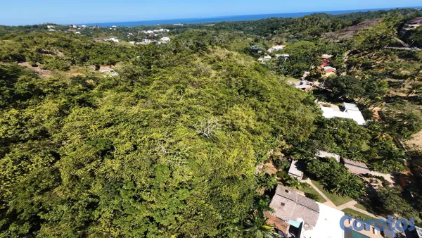 solares y terrenos - Oportunidad de oro: 6,770 m² listos para desarrollar. 3
