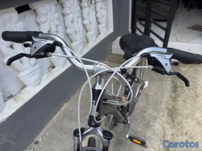 Bicicleta 29’ Raleigh Importada