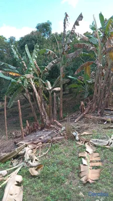 solares y terrenos - se vende terreno en San Cristóbal ideal para villa o 🏡 casa de campo  7