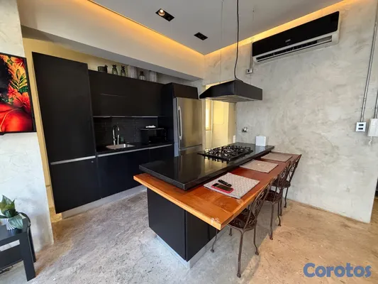apartamentos - Venta de apartamento amueblado tipo Loft en La Esperilla 4