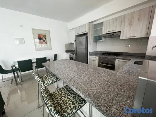 apartamentos - partamento en Alquiler en Piantini Amueblado de UN 7