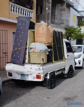 servicios profesionales - mudanza y acarreo 