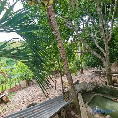 solares y terrenos - Vende Finca en Ramón Santana. 📍San Pedro de Macorí 7