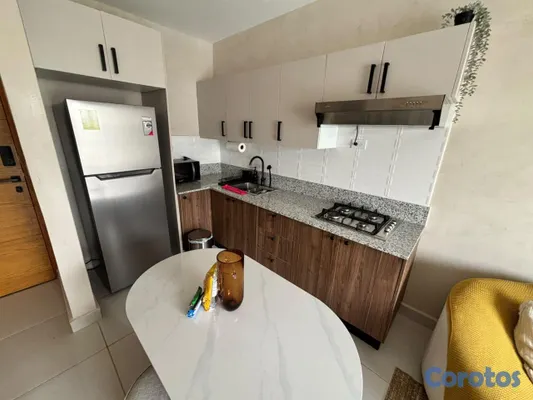 apartamentos - Alquiler Apartamento Amueblado En Naco 3