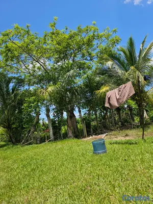 solares y terrenos - Se vende este terreno esta ubicado en bayaguana  16