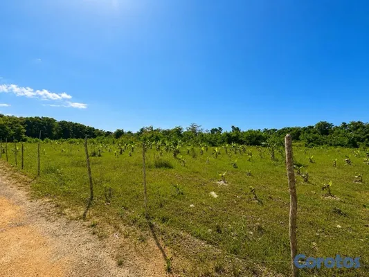 solares y terrenos - Terreno de 842 m² en Punta Popy, Las Terrenas 6