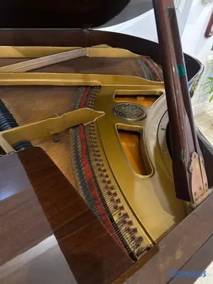 instrumentos musicales - Piano de Cola PETROF Modelo IV – Checo – Nogal Pul 4