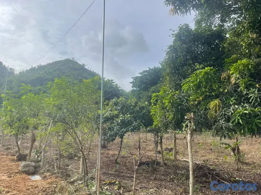 solares y terrenos - Terreno en un lugar super tranquilo  2