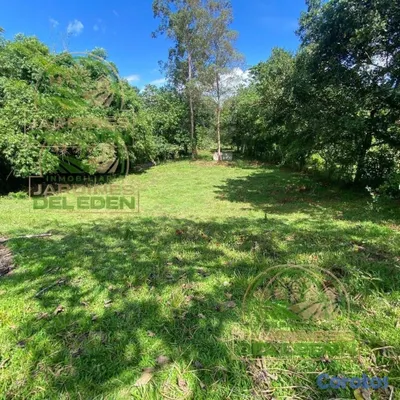 solares y terrenos - EDÉN 1ro🌳❤️ 7