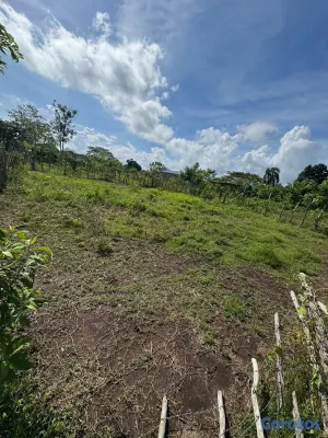 solares y terrenos - Terreno / Solar en avenga en Castillo Provincia Duarte 3