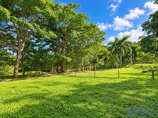 solares y terrenos - Solar 541 m2 en Las Terrenas, listo para construir

Precio: US$43,318 3