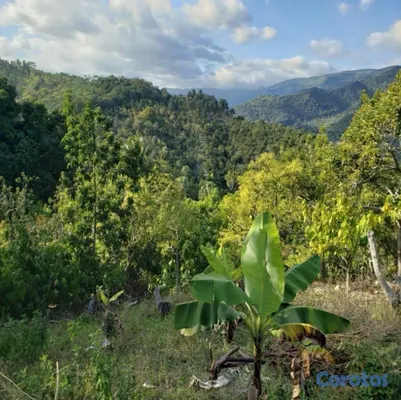 solares y terrenos - Vendo Finca de AGUACATE en Paraíso, BARAHONA, 255, 9