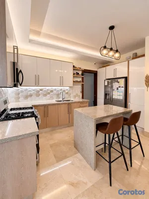 apartamentos - TORRE ROOFTOP Y GIMNASIO VILLA OLGA SANTIAGO MODER 8