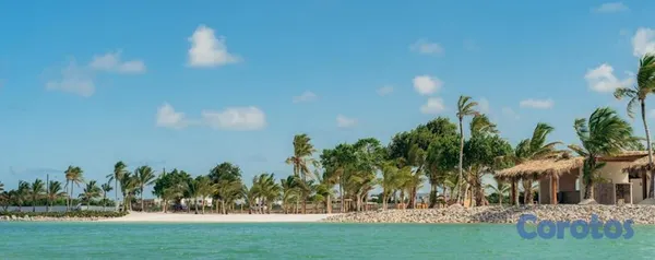 casas vacacionales y villas - Venta de espectacular villa en Vista cana 10