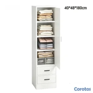 organizador 