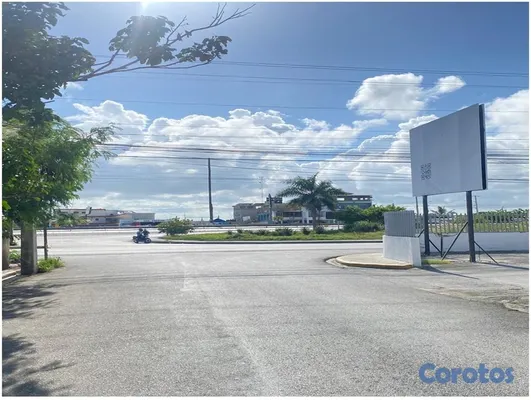 oficinas y locales comerciales - Vendo 243,000 Mts.2 en 3 Terrenos, BUENA VISTA, JA 10