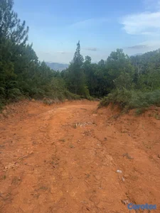 Tierra del dueño sin intermediarios está en
proceso de titulacion