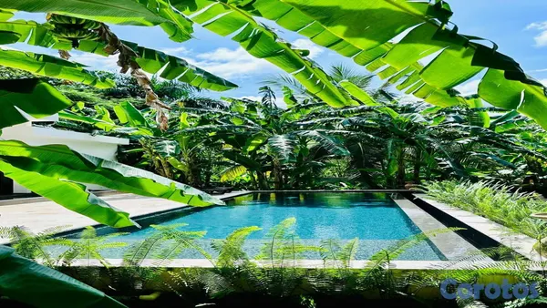 casas vacacionales y villas - Villa con Espectacular Jardín de 3,000 m² | A solo 10 min de Punta Popy 🥥 4