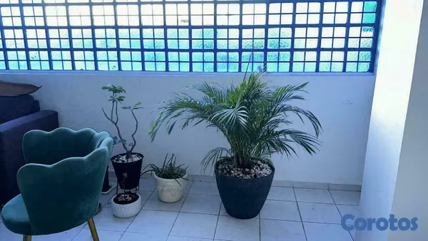 apartamentos - Hermoso apartamento en alquiler. 2
