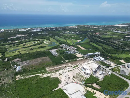 solares y terrenos - Solar de 17,000 metros en PuntaCana, entorno envid 8