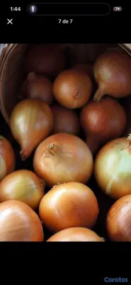 cocina - vegetales y frutas y víveres huevos  6