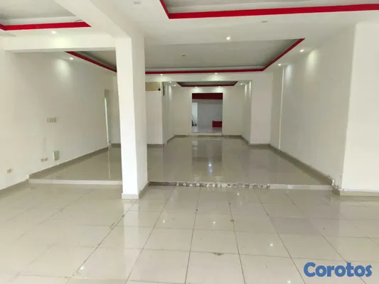 oficinas y locales comerciales -  La Julia, Distrito Nacional, Santo Domingo Local  12