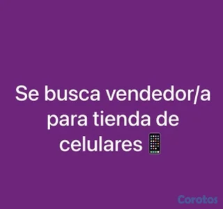 Vendedor /a