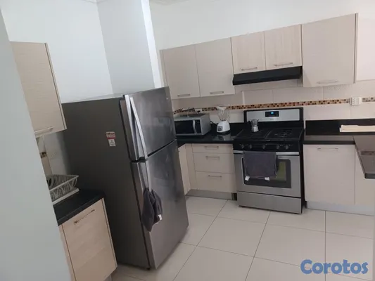 apartamentos - APARTAMENTO TOTALMENTE AMUEBLADO EN ALQUILER MIRAF 13