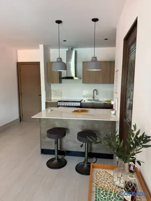 apartamentos - APARTAMENTO AMUEBLADO EN ALQUILER – PIANTINI SANTO 6