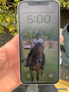 iPhone 12 256gb l