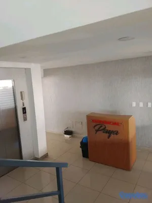 apartamentos - Apartamento en alquiler totalmente amueblado en Res. Paya #16 Urbanización trop. 9
